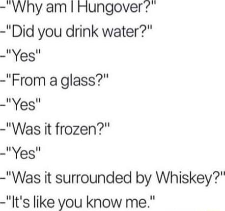 Why am Hungover Did you drink water Yes From a glass Yes Was it frozen Yes Was it surrounded by Whiskey Its like you know me