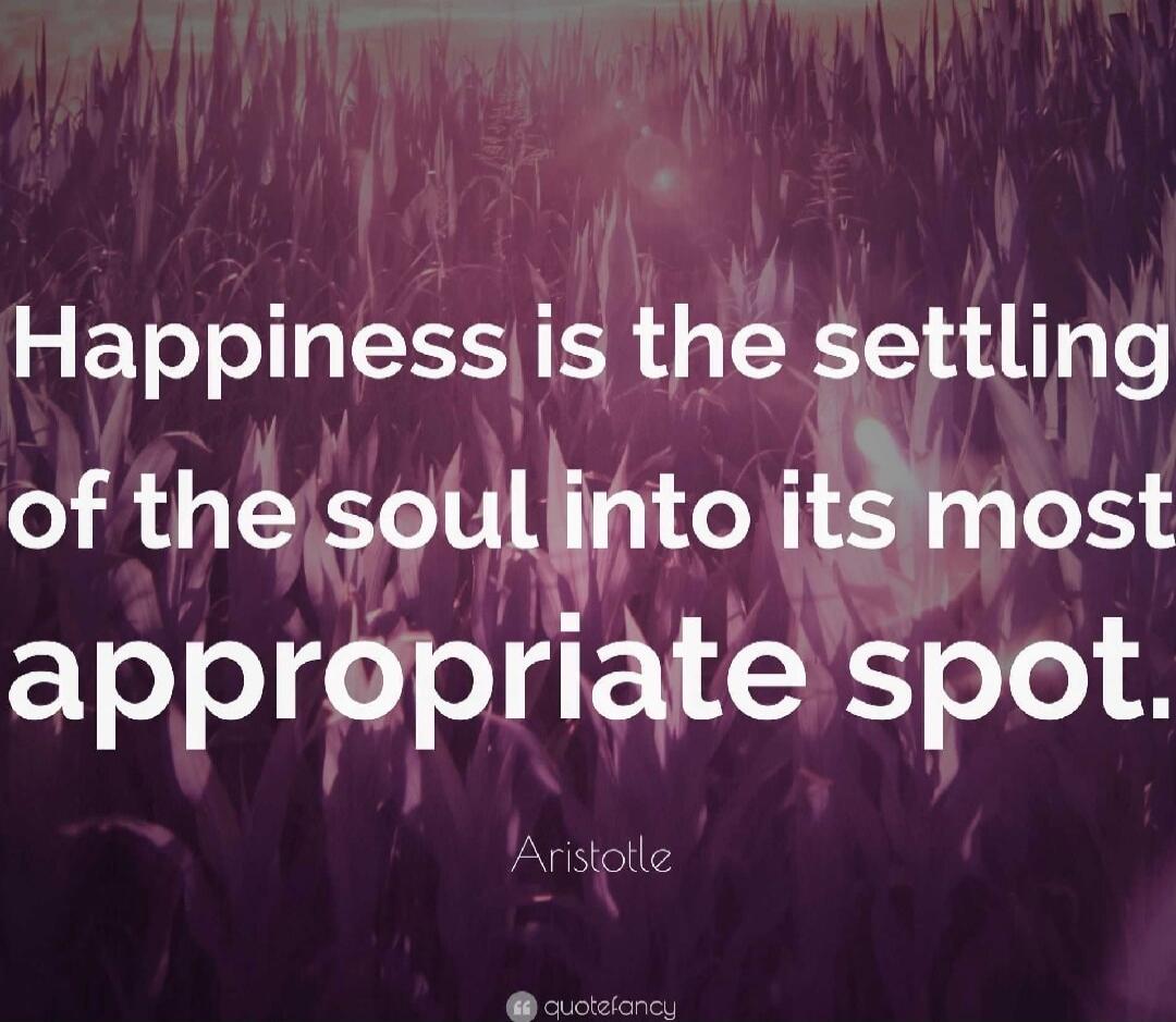 Happiness is the settling of the soul into its most appropriate spot. Aristotle