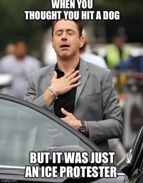 WHEN YOU THOUGHT YOU HIT A DOG BUT IT WAS JUST AN ICE PROTESTER