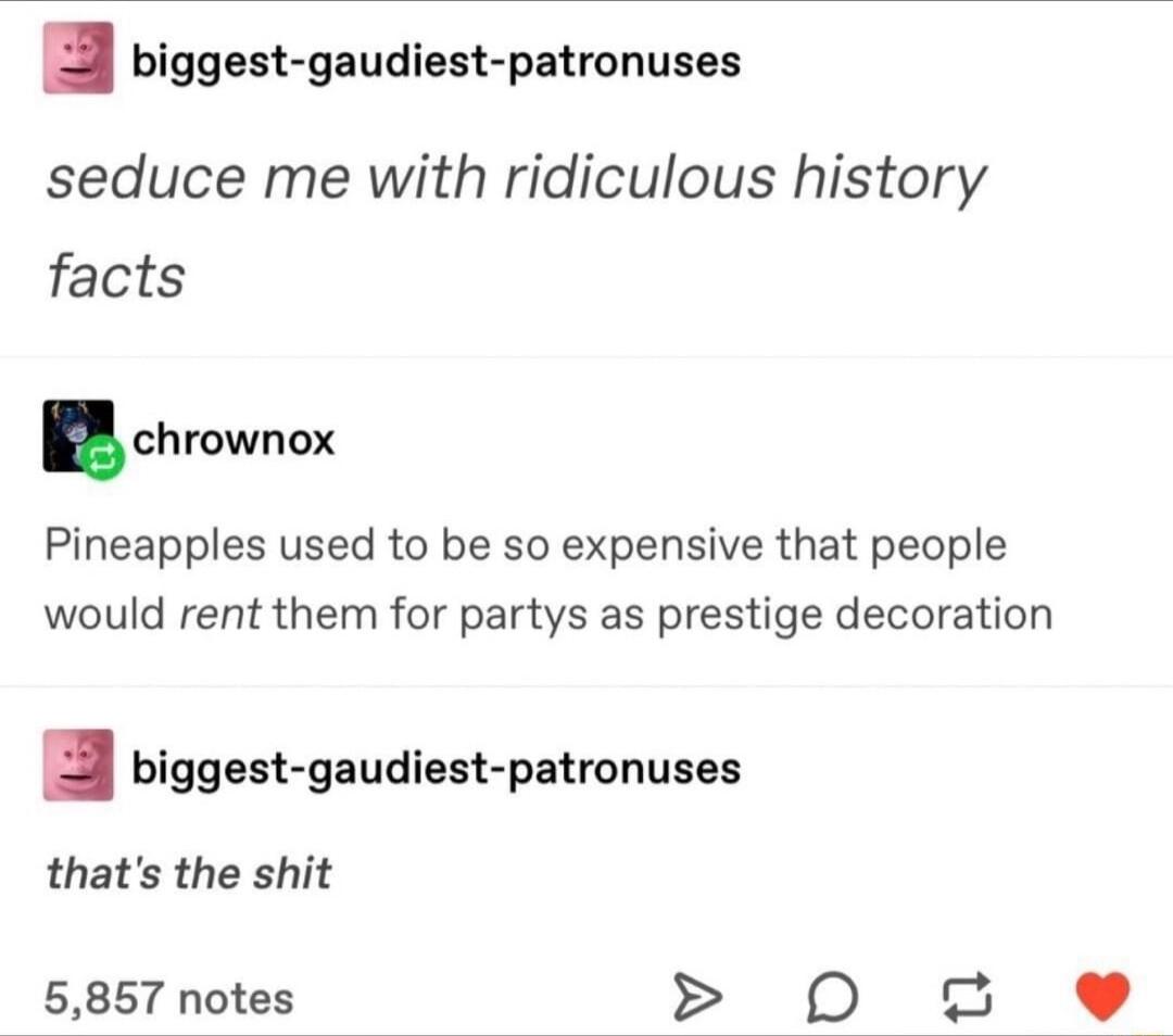 3 biggest gaudiest patronuses seduce me with ridiculous history facts W trowens Pineapples used to be so expensive that people would rent them for partys as prestige decoration 3 biggest gaudiest patronuses thats the shit 5857 notes D o