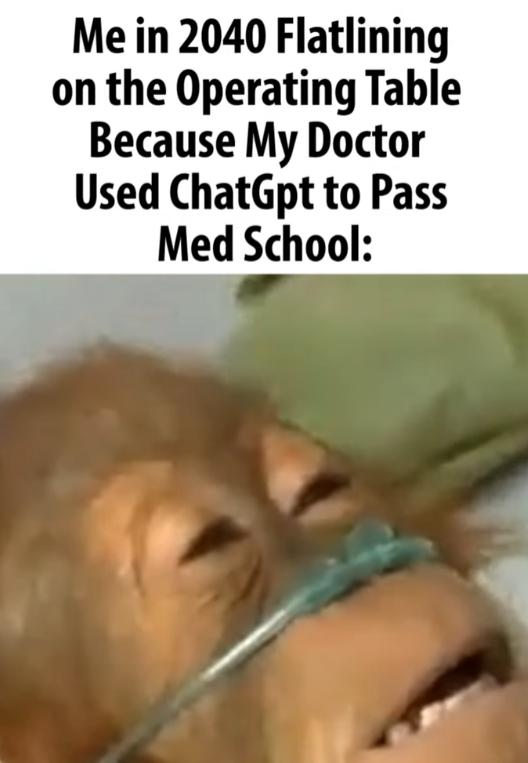 Me in 2040 Flatlining on the Operating Table Because My Doctor Used ChatGpt to Pass Med School