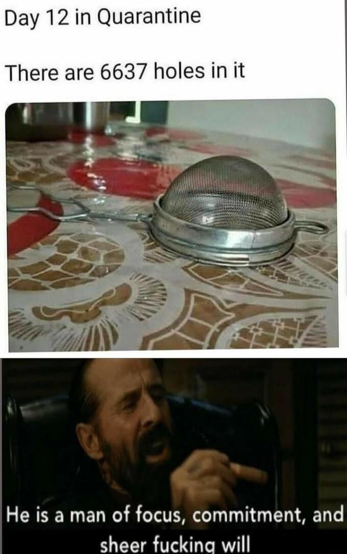 Day 12 in Quarantine There are 6637 holes in it He is a man of focus commitment and sheer fuckina will