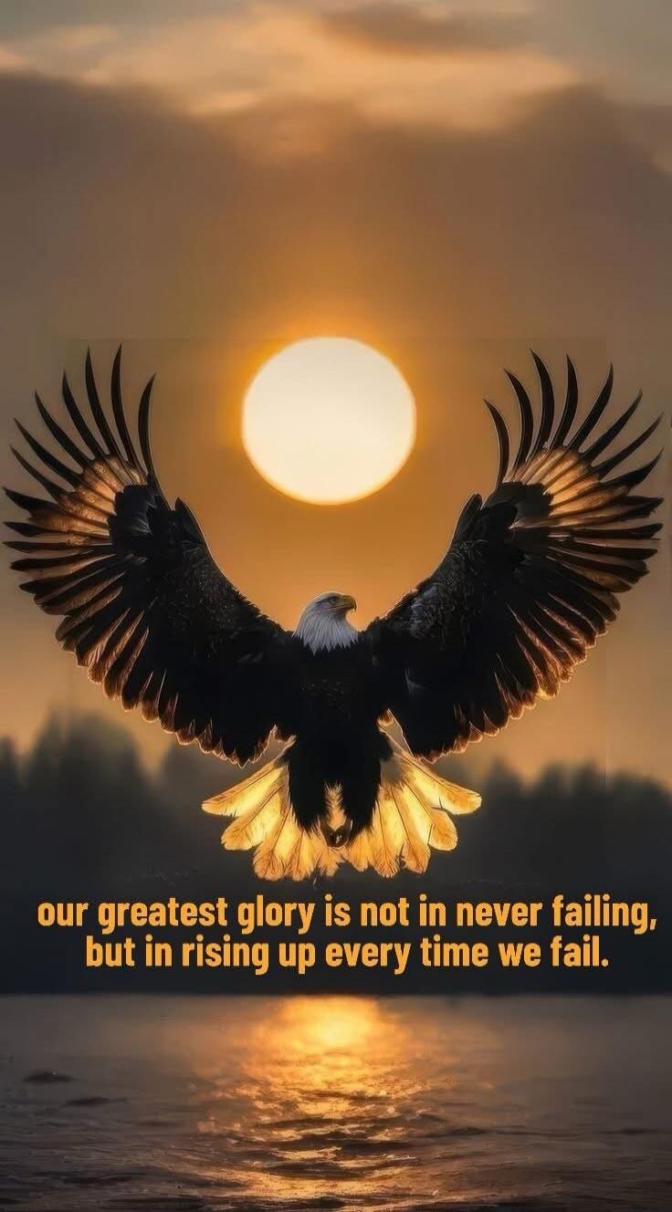 our greatest glory is not in never failing, but in rising up every time we fail.