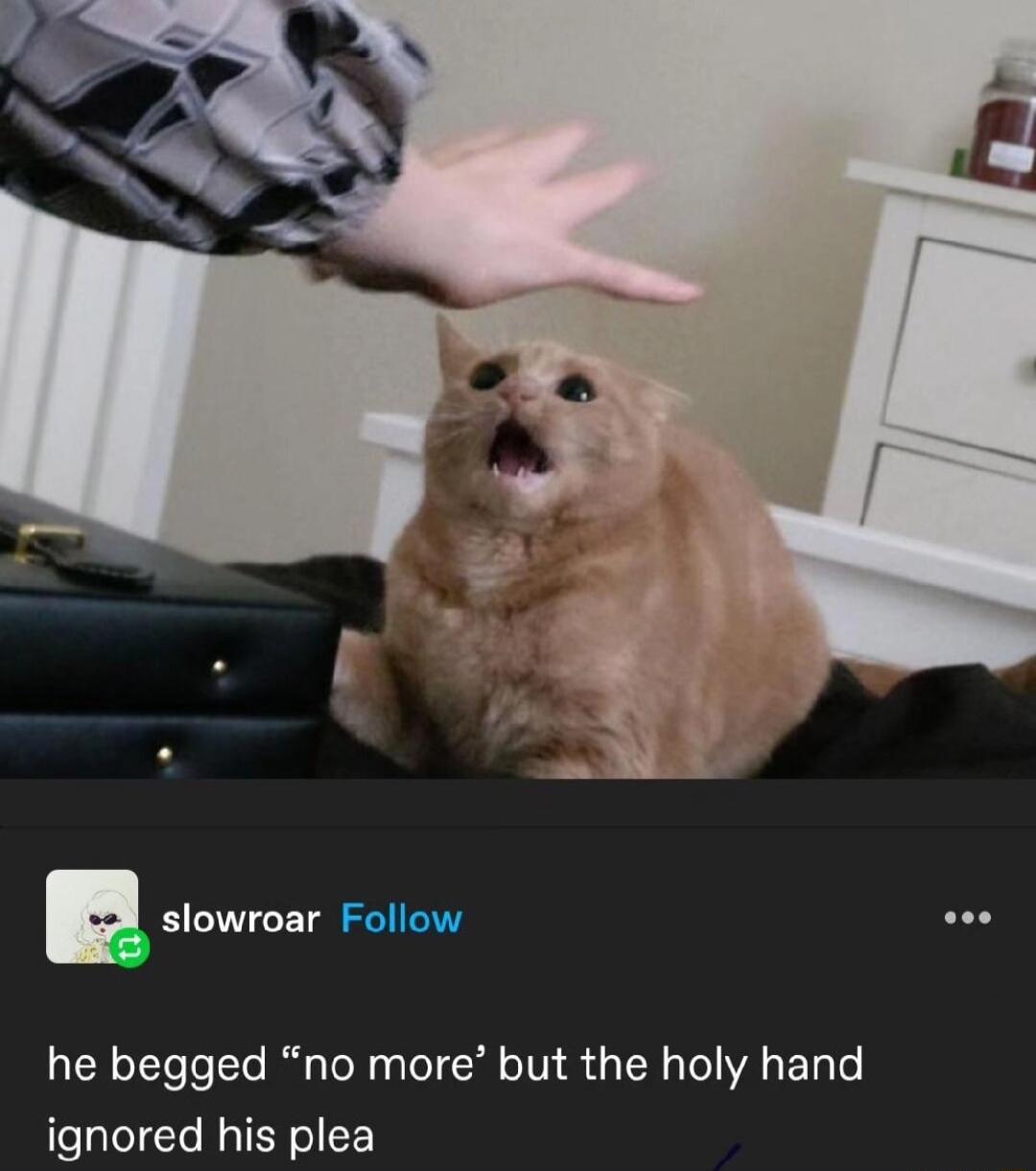 p he begged no more but the holy hand ignored his plea