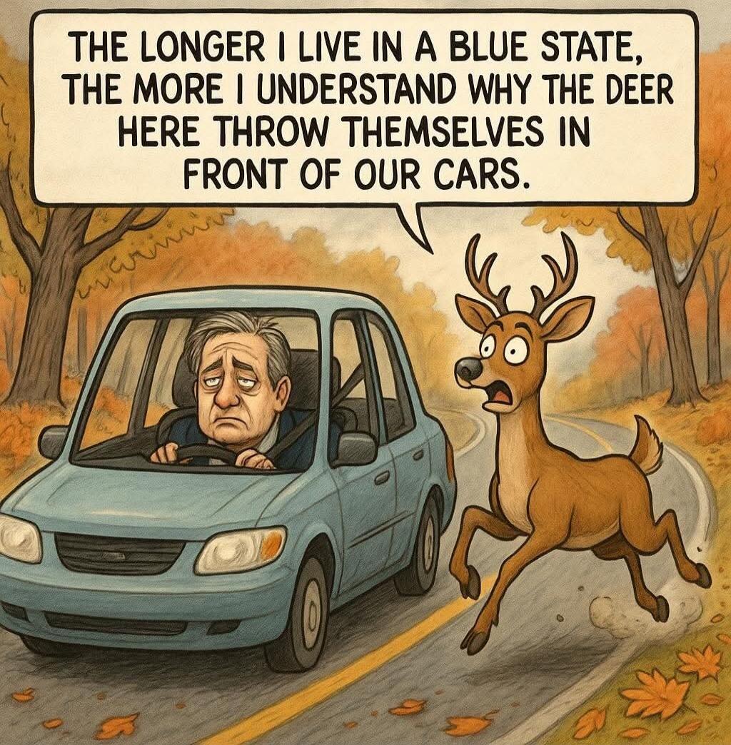 THE LONGER I LIVE IN A BLUE STATE, THE MORE I UNDERSTAND WHY THE DEER HERE THROW THEMSELVES IN FRONT OF OUR CARS.