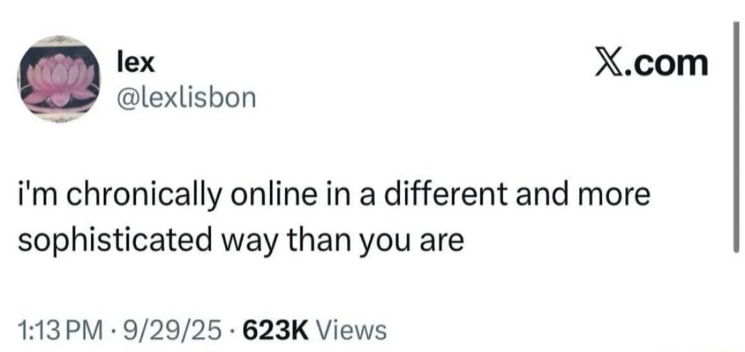 i'm chronically online in a different and more sophisticated way than you are
