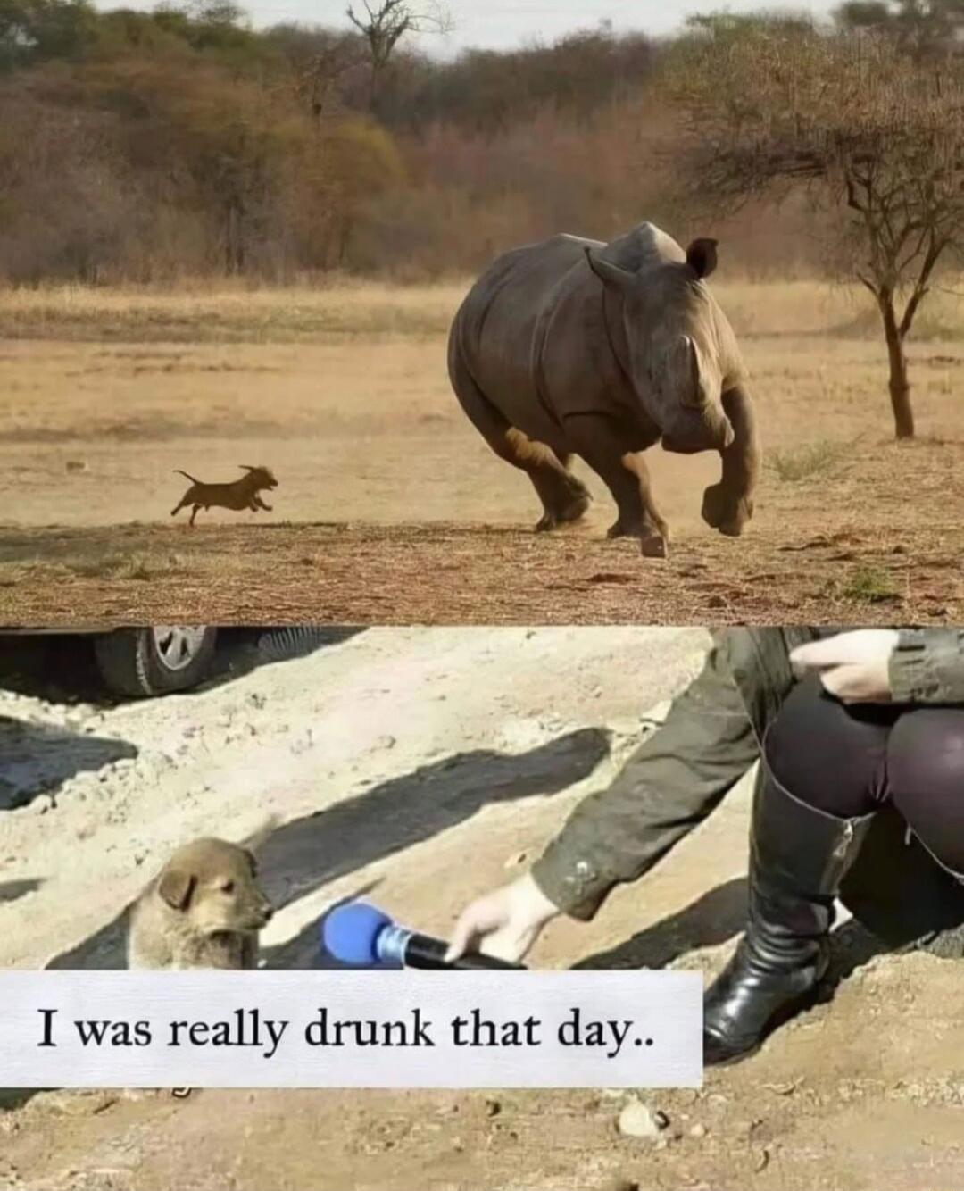 I was really drunk that day