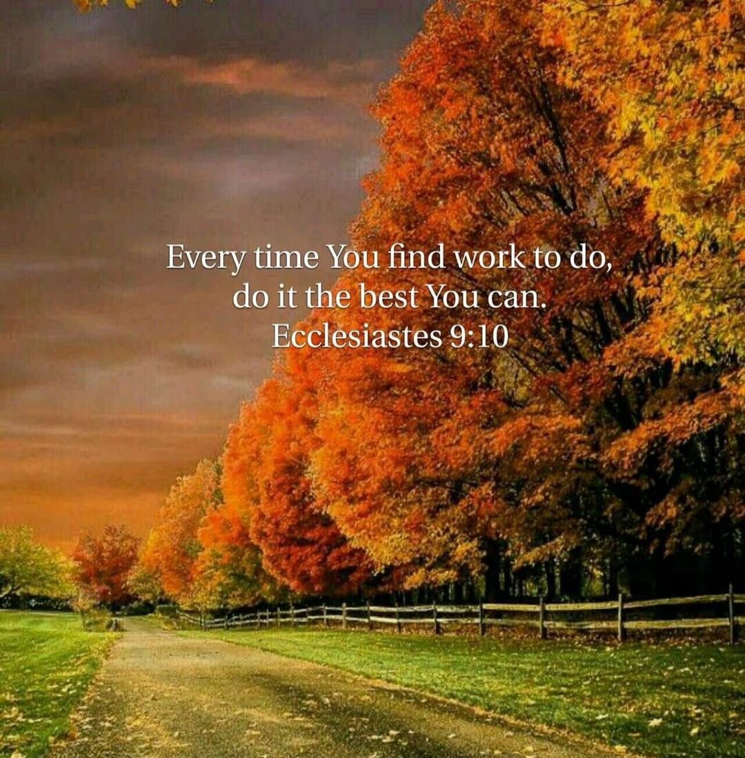 Every time You find work to do, do it the best You can. Ecclesiastes 9:10