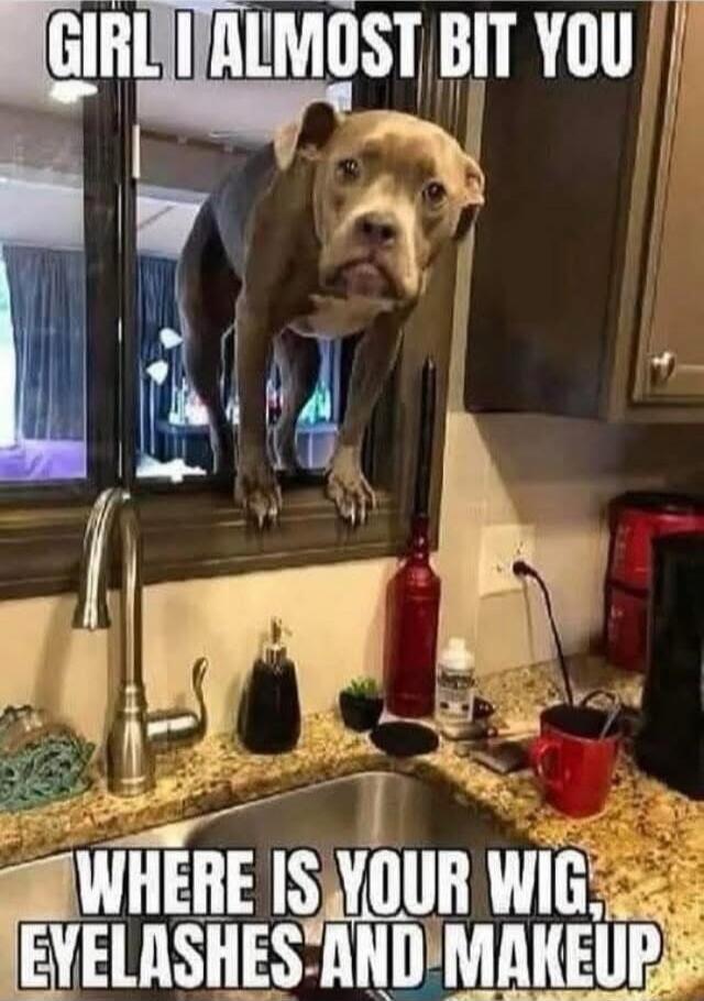 GIRL I ALMOST BITE YOU
WHERE IS YOUR WIG, EYELASHES AND MAKEUP