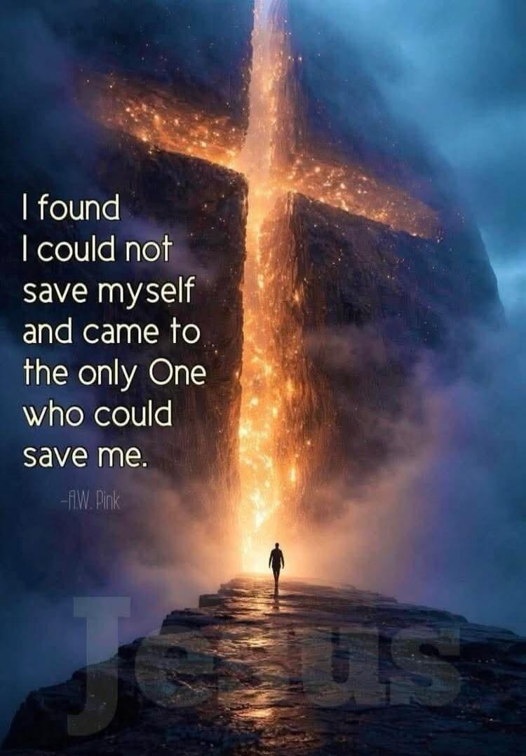 I found I could not save myself and came to the only One who could save me. - AW Pink