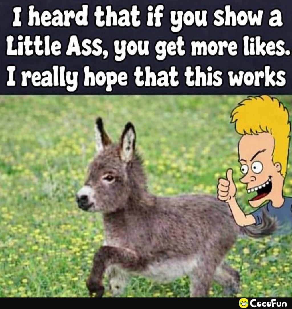 I heard that if you show a Little Ass, you get more likes. I really hope that this works