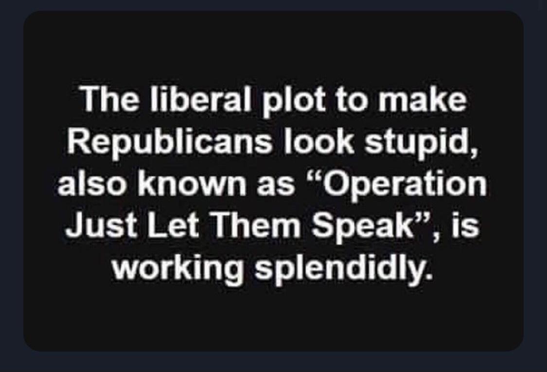 The liberal plot to make TV Ty BN o Te S 1T T also known as Operation Just Let Them Speak is working splendidly