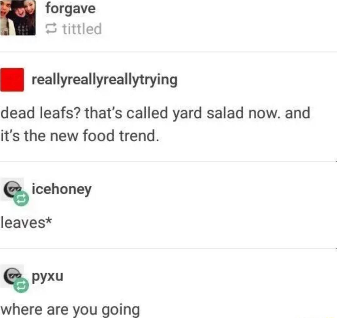 forgave tittled reallyreallyreallytrying dead leafs thats called yard salad now and its the new food trend where are you going