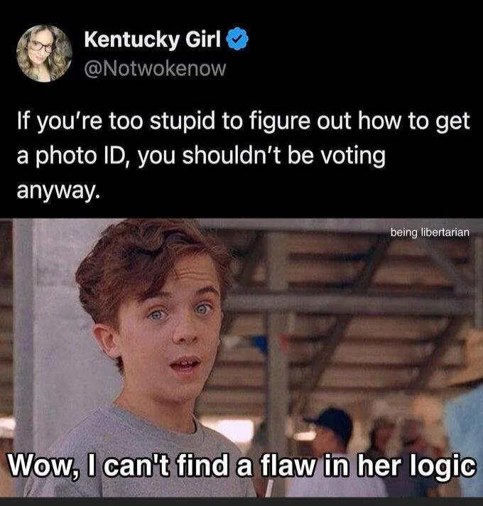 If you're too stupid to figure out how to get a photo ID, you shouldn't be voting anyway.

Wow, I can't find a flaw in her logic
