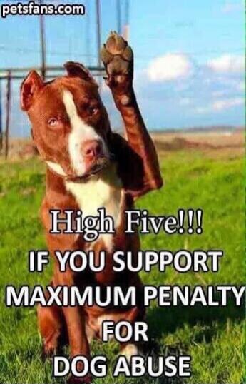 High Five!!! IF YOU SUPPORT MAXIMUM PENALTY FOR DOG ABUSE