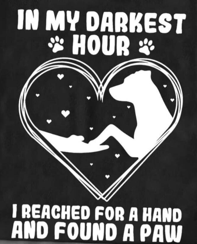 IN MY DARKEST HOUR I REACHED FOR A HAND AND FOUND A PAW
