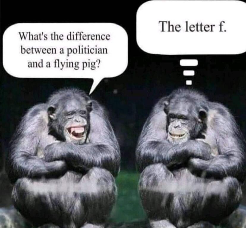 The letter f Whats the difference between a politician and a flying pig