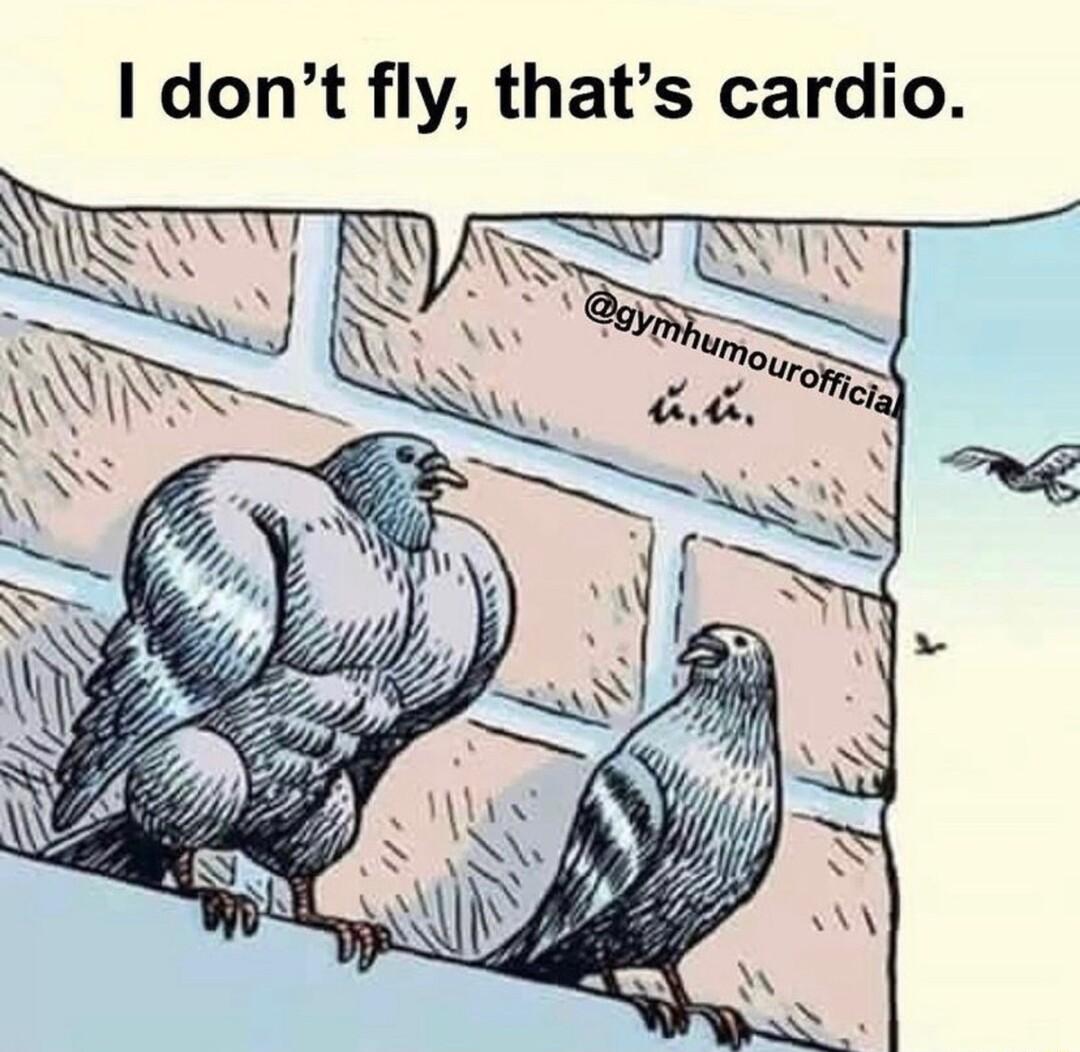 dont fly thats cardio