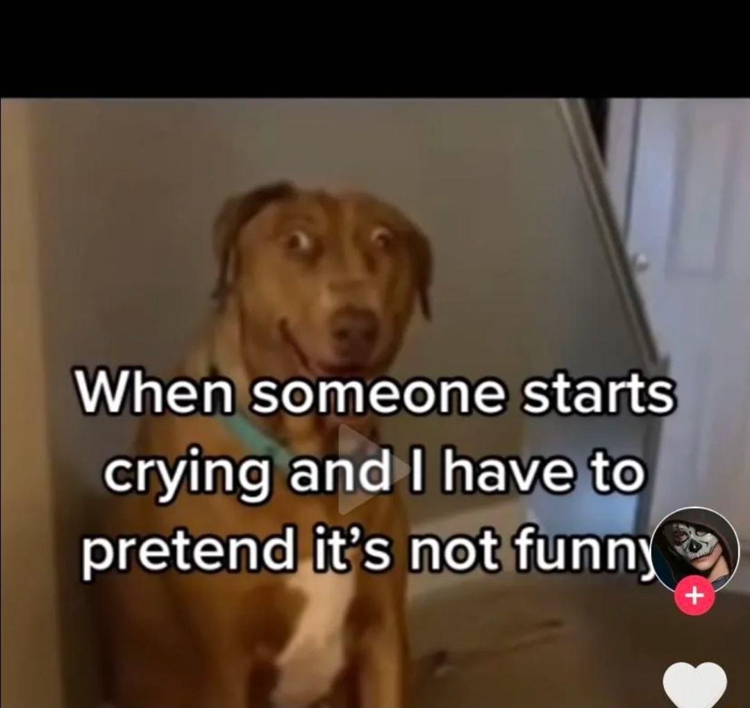 TT Whensomeone starts AN e crying and havelto pretendis notifunny