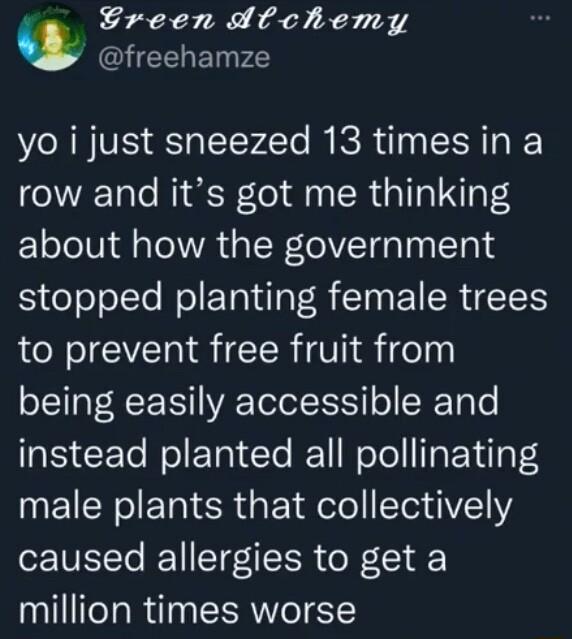 Creen dtchemy l ET yo i just sneezed 13 times in a row and its got me thinking about how the government stopped planting female trees to prevent free fruit from being easily accessible and aFS ETo ol Yot Ye IE1 WoTe ITa Y dlgte4 male plants that collectively caused allergies to get a million times worse