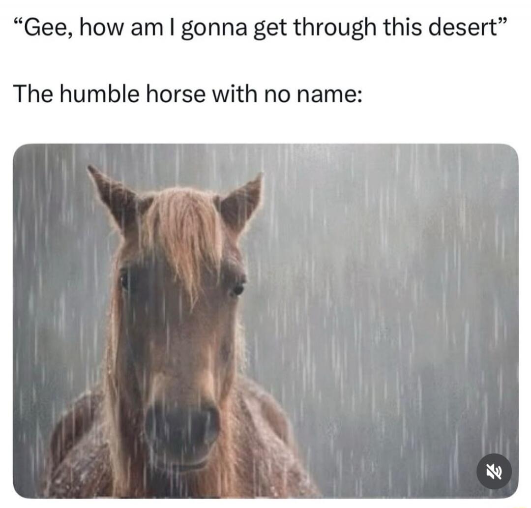Gee, how am I gonna get through this desert. The humble horse with no name: