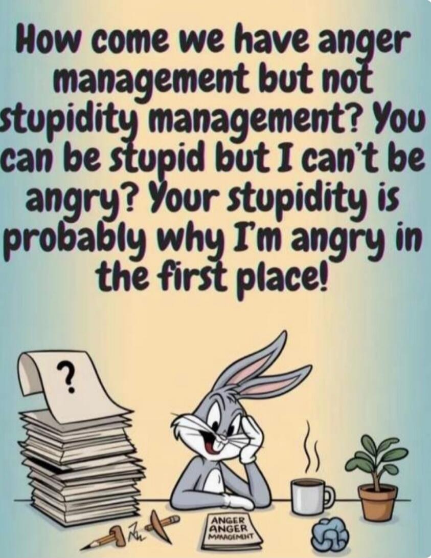 How come we have anger management but not stupidity management? You can be stupid but I can’t be angry? Your stupidity is probably why I'm angry in the first place!