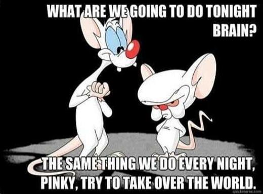 WHAT ARE WE GOING TO DO TONIGHT BRAIN? THE SAME THING WE DO EVERY NIGHT, PINKY, TRY TO TAKE OVER THE WORLD.
