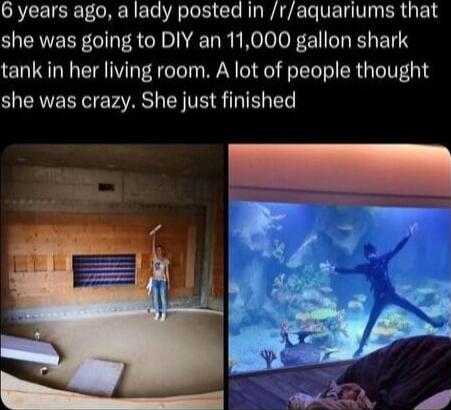 CACET e Tee e R EsTe e eI CIe RIa WA PA o VE VI R U F218 she was going to DIY an 11000 gallon shark tank in her living room A lot of people thought she was crazy She just finished
