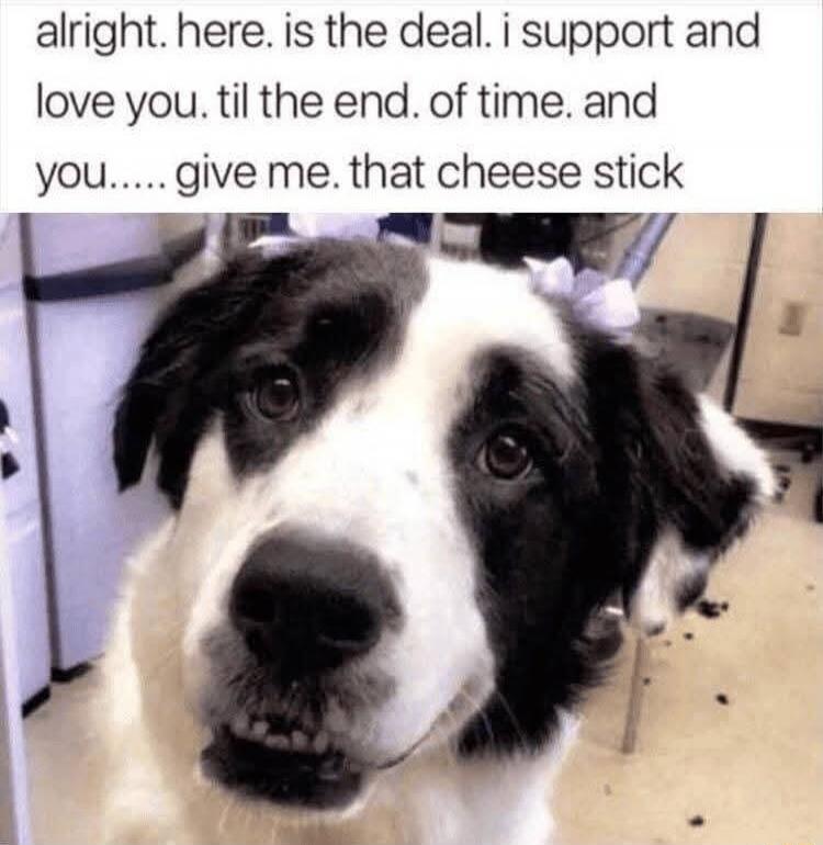 alright. here. is the deal. i support and love you. til the end. of time. and you..... give me. that cheese stick