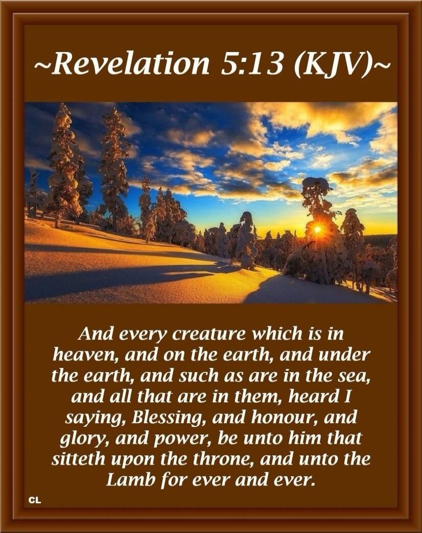~Revelation 5:13 (KJV)~
And every creature which is in heaven, and on the earth, and under the earth, and such as are in the sea, and all that are in them, heard I saying, Blessing, and honour, and glory, and power, be unto him that sitteth upon the throne, and unto the Lamb for ever and ever.