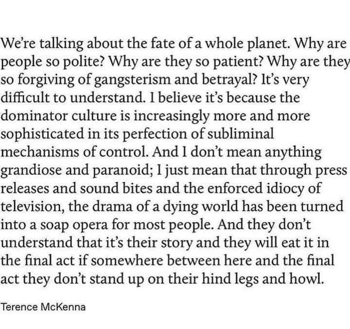 Were talking about the fate of a whole planet Why are people so polite Why are they so patient Why are they so forgiving of gangsterism and betrayal Its very difficult to understand 1 believe its because the dominator culture is increasingly more and more sophisticated in its perfection of subliminal mechanisms of control And I dont mean anything grandiose and paranoid 1 just mean that through pre