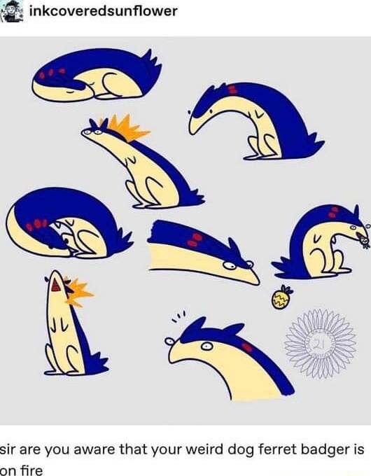 inkcoveredsunflower sir are you aware that your weird dog ferret badger is on fire