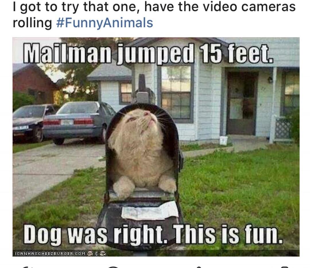 I got to try that one, have the video cameras rolling #FunnyAnimals. Mailman jumped 15 feet. Dog was right. This is fun.
