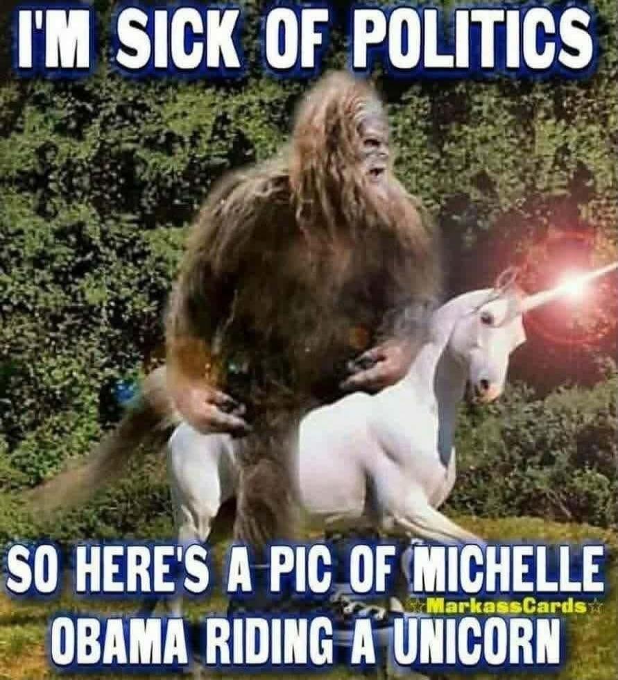 I'M SICK OF POLITICS SO HERE'S A PIC OF MICHELLE OBAMA RIDING A UNICORN