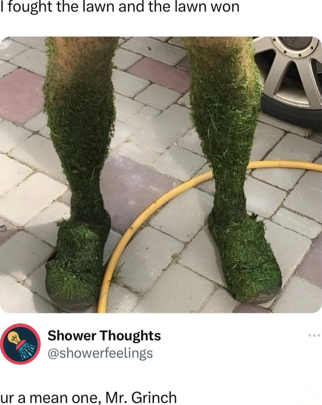 fought the lawn ana the lawn won Shower Thoughts showerfeelings ur a mean one Mr Grinch
