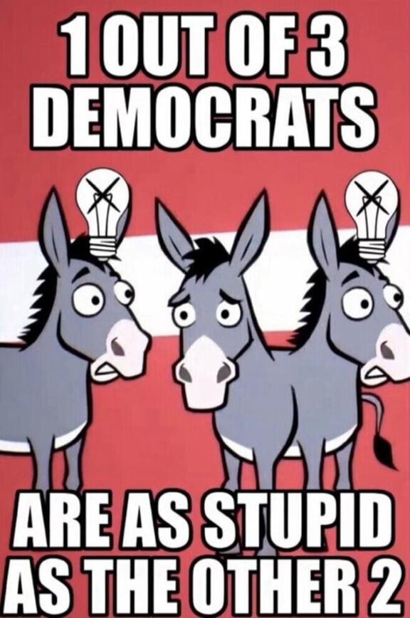 1 OUT OF 3 DEMOCRATS ARE AS STUPID AS THE OTHER 2