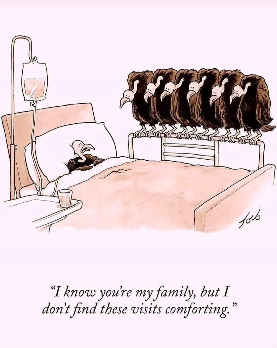I know you're my family, but I don't find these visits comforting.
