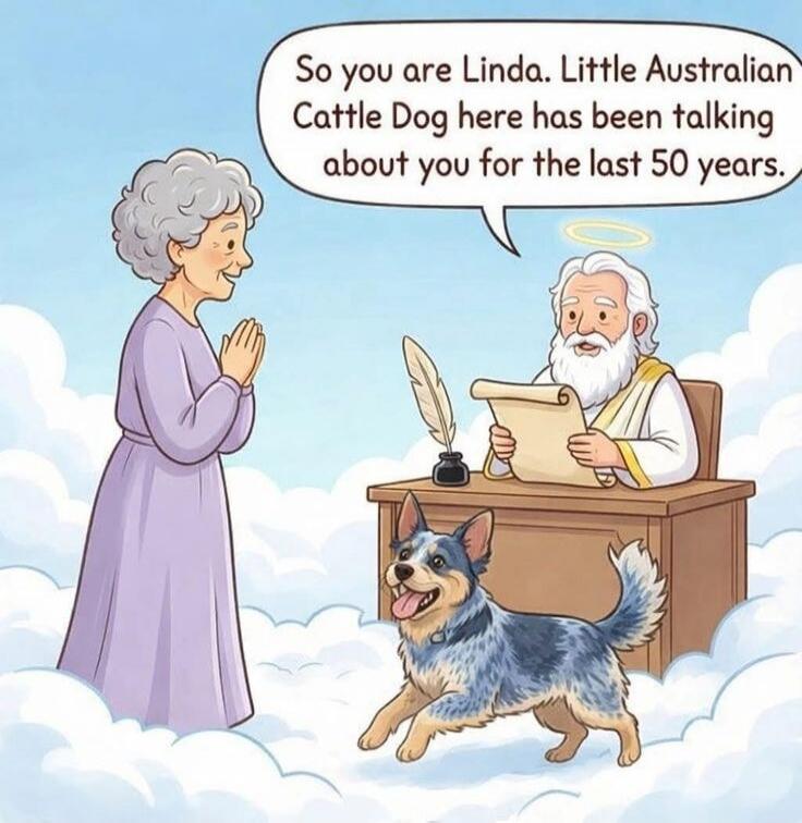 So you are Linda. Little Australian Cattle Dog here has been talking about you for the last 50 years.