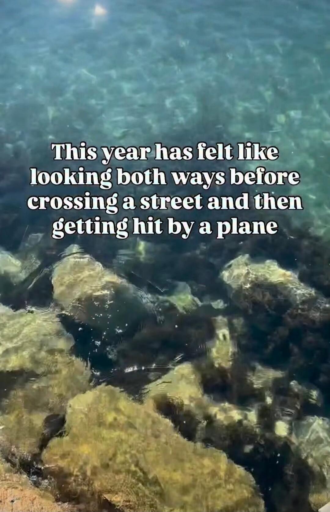 This year has felt like looking both ways before crossing a street and then getting hit by a plane