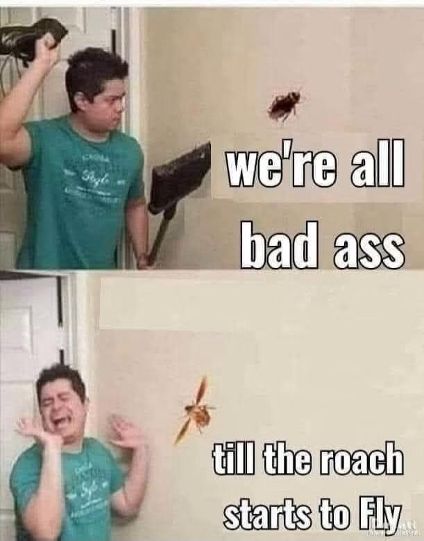 we're all bad ass till the roach starts to fly