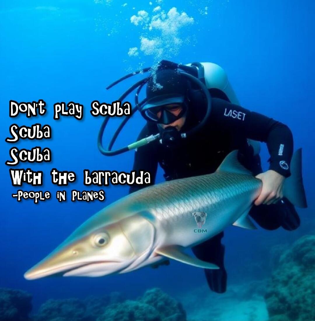 Don't play Scuba Scuba Scuba With the barracuda -PEOPLE IN PLANES