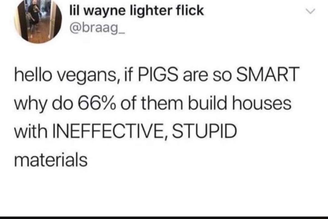 lil wayne lighter flick braag_ hello vegans if PIGS are so SMART why do 66 of them build houses with INEFFECTIVE STUPID materials