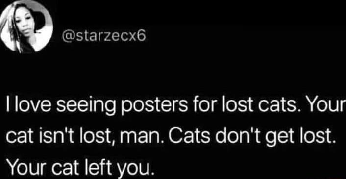GHEILEBTE love seeing posters for lost cats Your cat isnt lost man Cats dont get lost Your cat left you