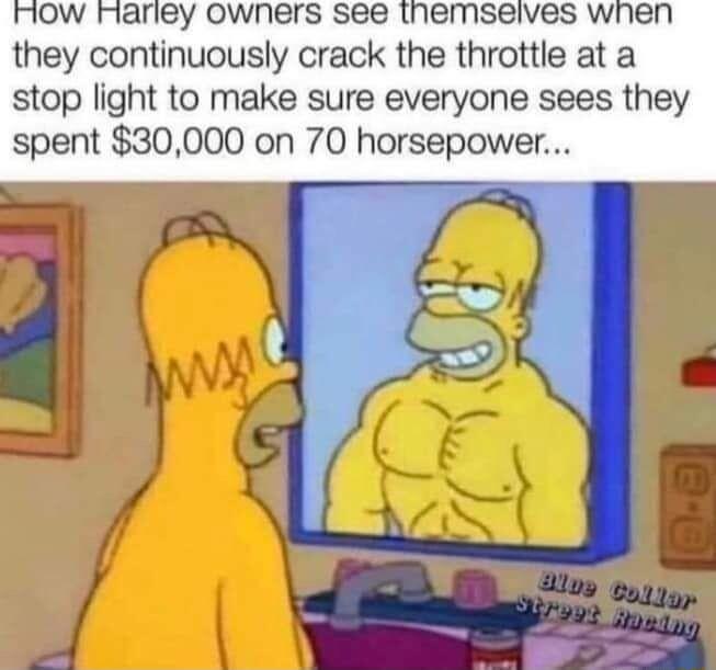 OW FHariey owners see inemseives when they continuously crack the throttle at a stop light to make sure everyone sees they spent 30000 on 70 horsepower