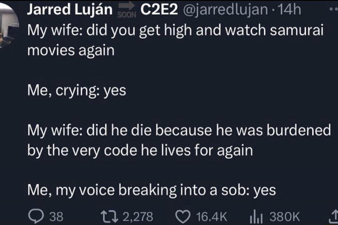 My wife: did you get high and watch samurai movies again

Me, crying: yes

My wife: did he die because he was burdened by the very code he lives for again

Me, my voice breaking into a sob: yes
