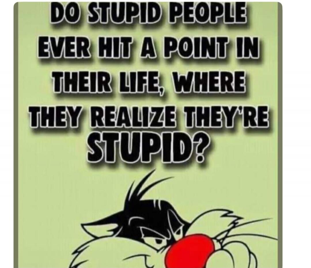 DO STUPID PEOPLE EVER HIT A POINT IN THEIR LIFE, WHERE THEY REALIZE THEY'RE STUPID?