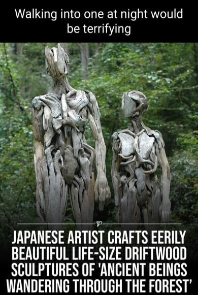 Walking into one at night would be terrifying JAPANESE ARTIST CRAFTS EERILY BEAUTIFUL LIFE SIZE DRIFTWOOD SCULPTURES OF ANCIENT BEINGS WANDERING THROUGH THE FOREST
