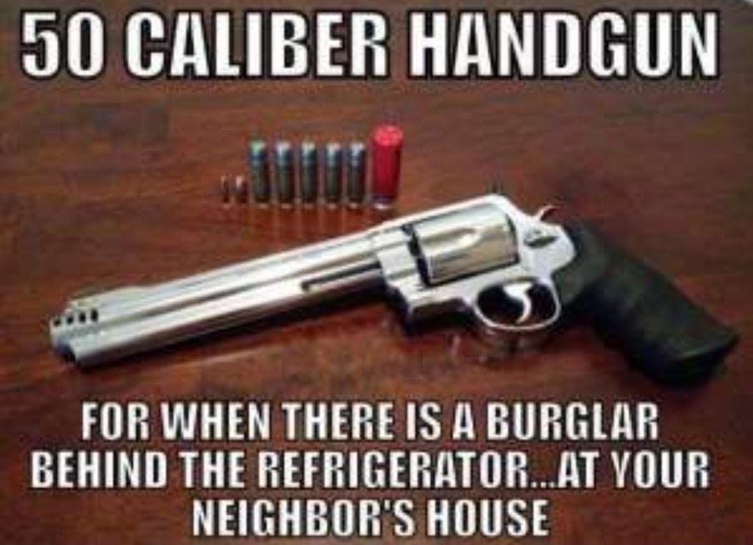 50 CALIBER HANDGUN rerrr A FOR WHEN THERE IS A BURGLAR BEHIND THE REFRIGERATORAT YOUR NEIGHBORS HOUSE