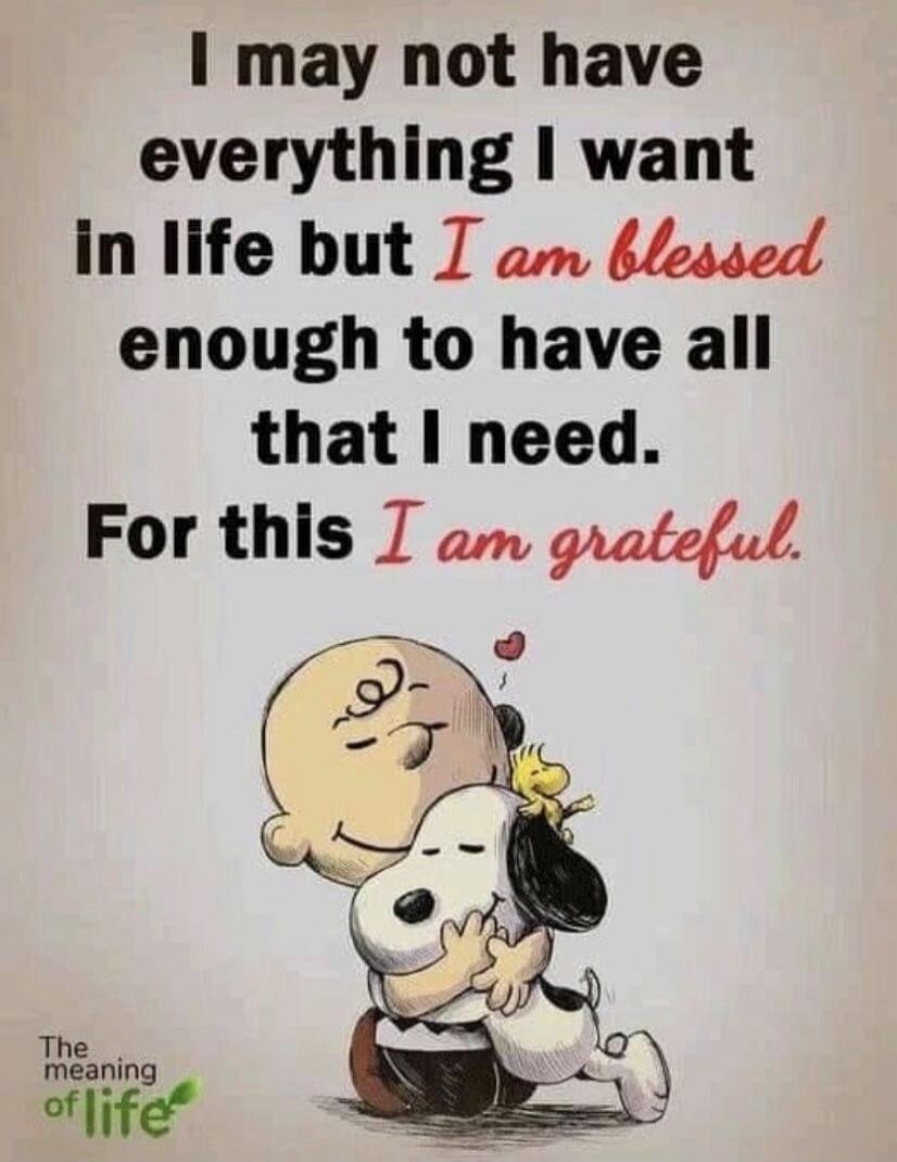 I may not have everything I want in life but I am blessed enough to have all that I need. For this I am grateful. The meaning of life
