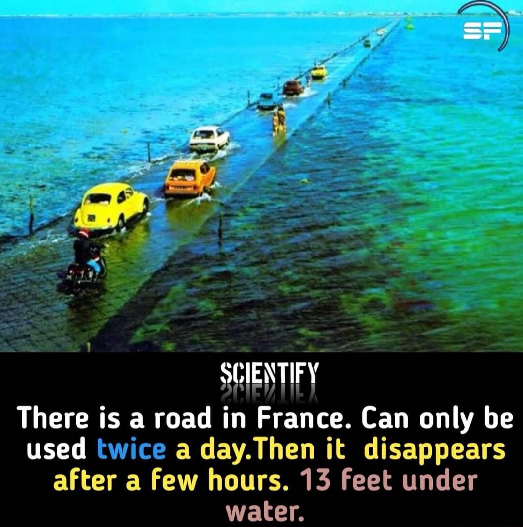 SCIENTIFY There is a road in France Can only be used EXCEVA L LT RN D after a few hours 13 feet under EL A